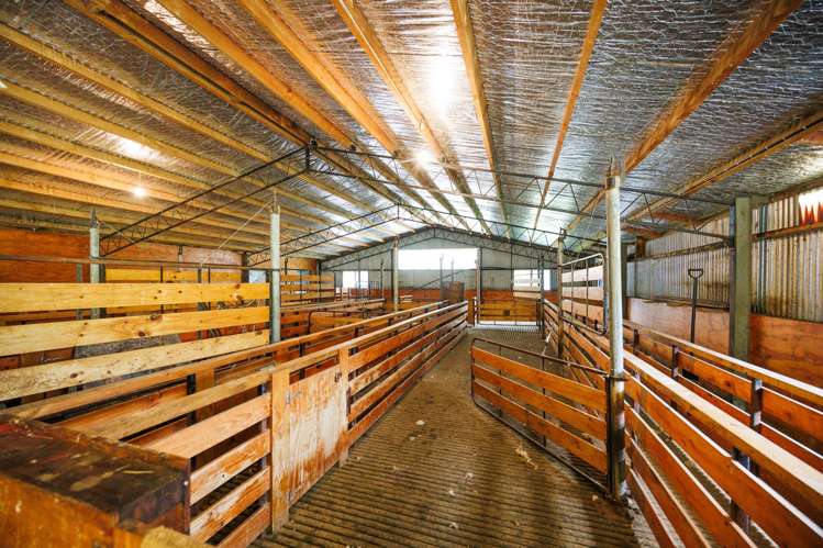 29 Kuku Road Pohangina_38