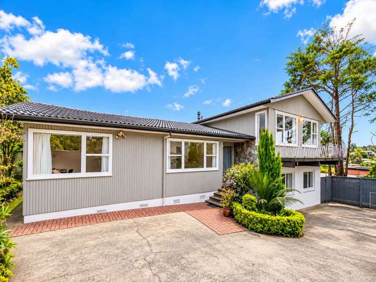 14 Tropicana Drive_0
