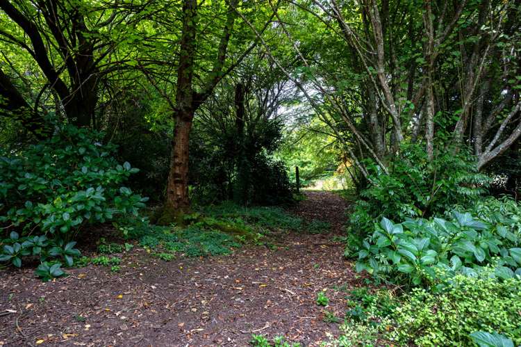 224 Rawhiti Road Reporoa and Surrounds_12