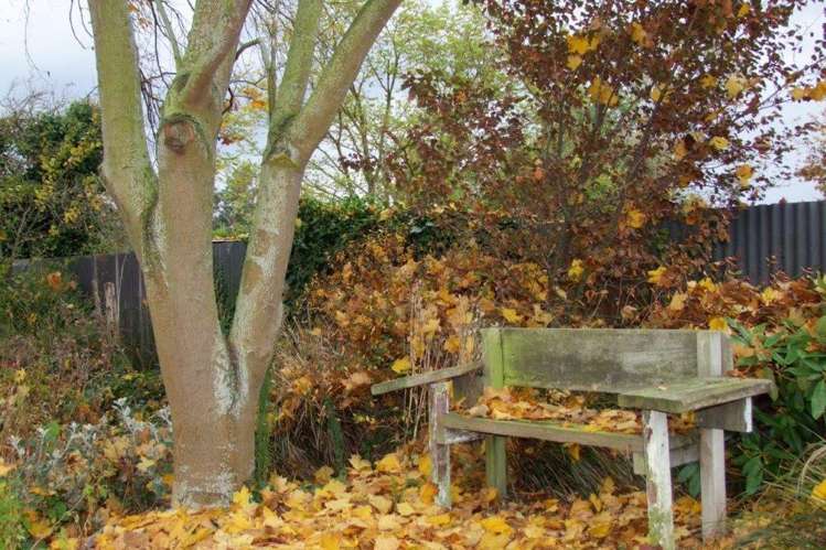 224 Union Street Milton_16