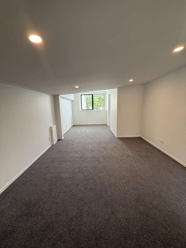 315 Dominion Road Mount Eden_5