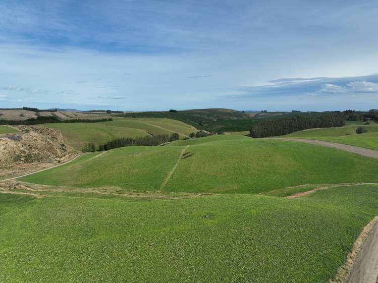 1215 Hillend Road Balclutha_12