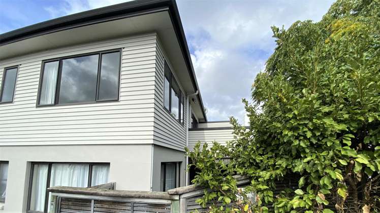 11D Horne Street Hamilton Central_11