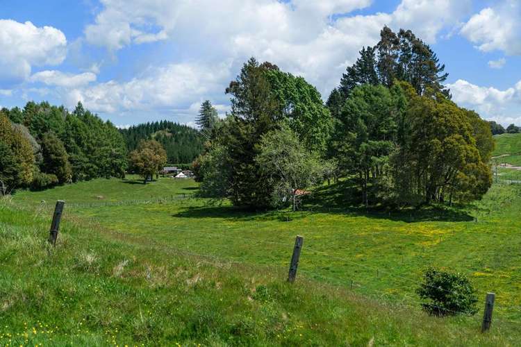 1849 Manawahe Road Manawahe_2