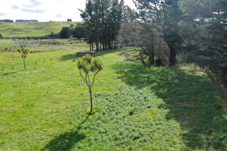 549 Norsewood Ormondville Road Dannevirke_15