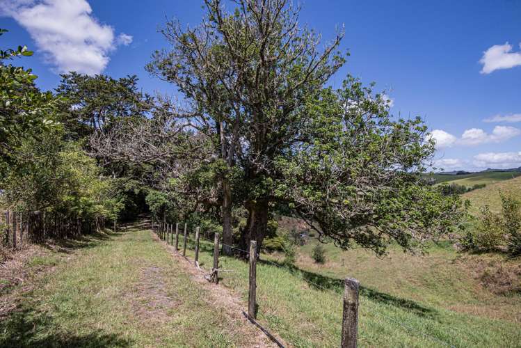 144 Tahere Road Whareora_24