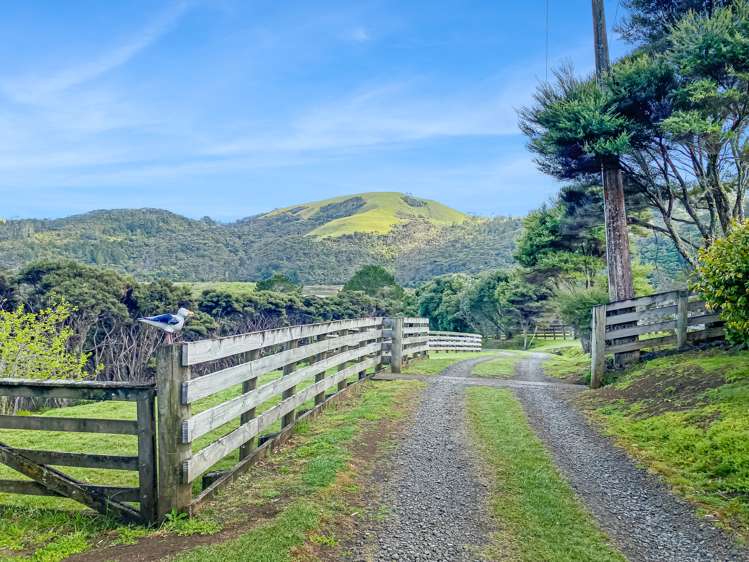 140 Bethells Road Waitakere_15