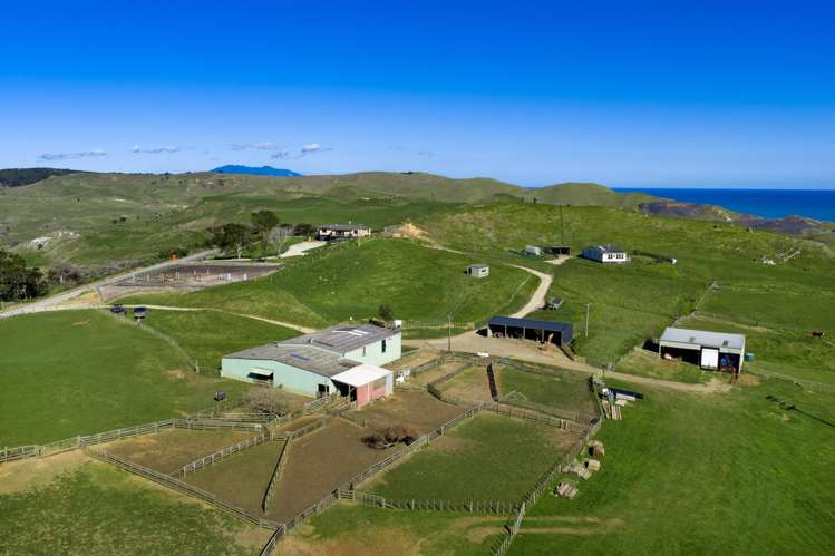 767 Te Akau Coast Road Te Akau_21