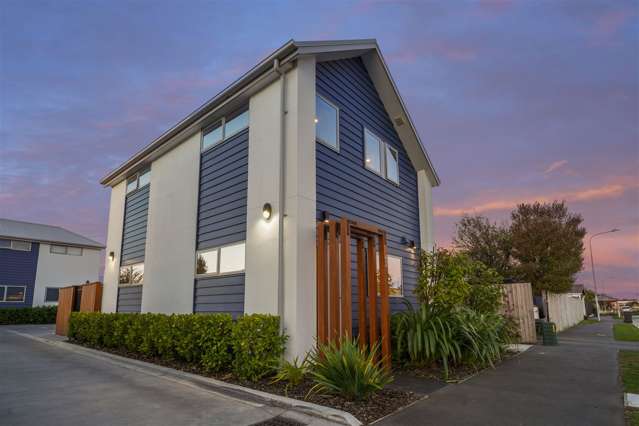 1/62 Elizabeth Street Riccarton_1