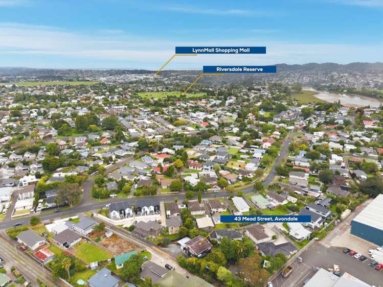 43 Mead Street Avondale_22