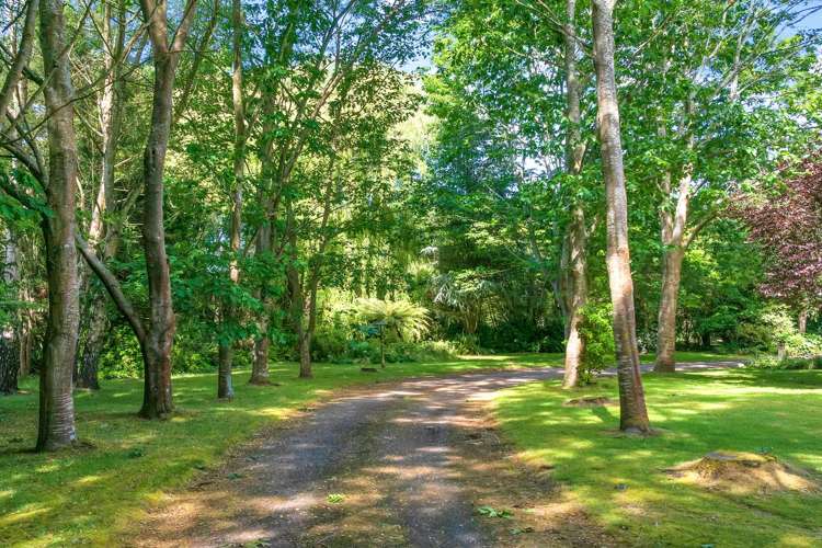 465 Old West Coast Road Templeton_33