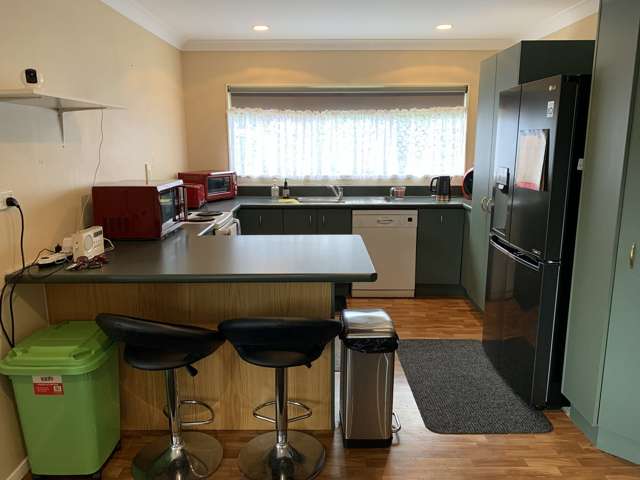 97a Lake Crescent Hamilton Lake_2