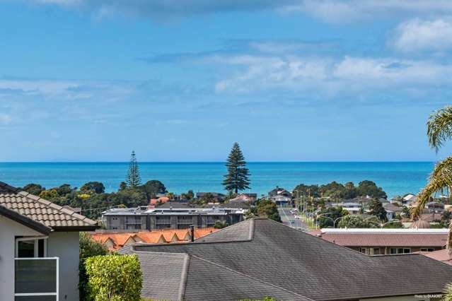 8 The Ritz Orewa_2