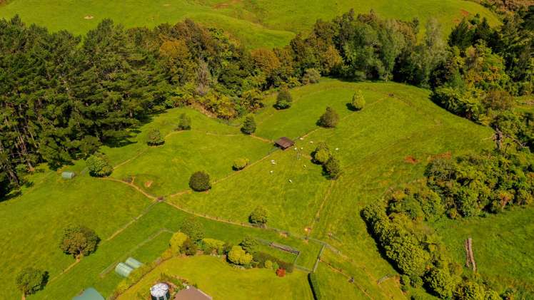 66 Parrs Road Hurworth_6