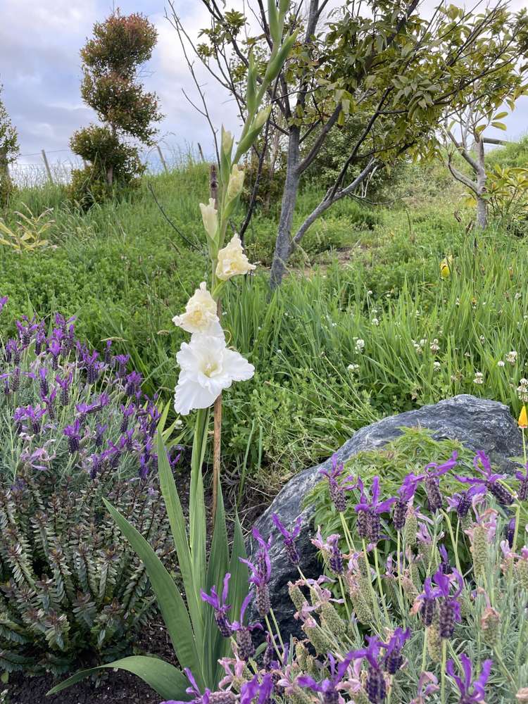 852 Oneriri Road Kaiwaka_56