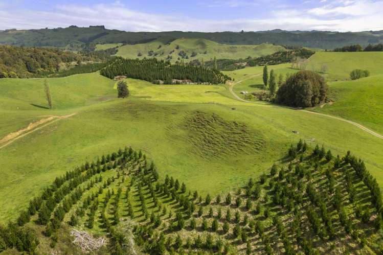 160a Tate Road Te Kuiti_4