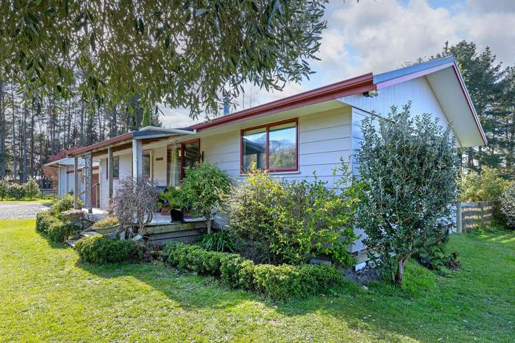 270 Gordon Street Masterton_15