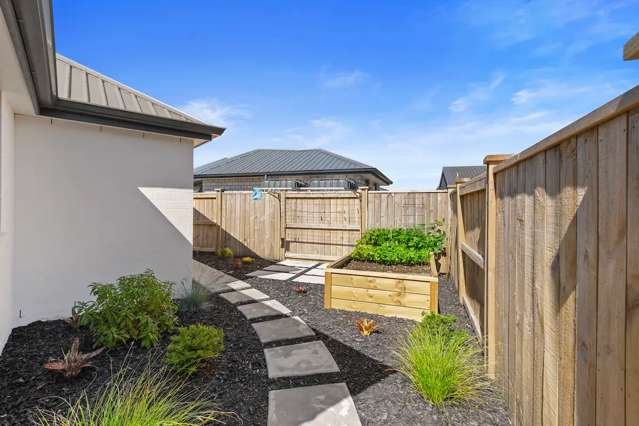 20A Cotula Way (Semi Furnished) Papamoa_2