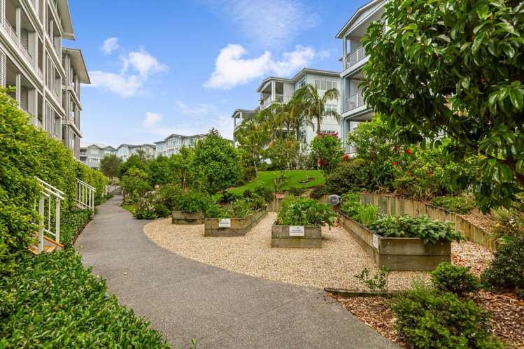 251 Hibiscus Drive Orewa_22