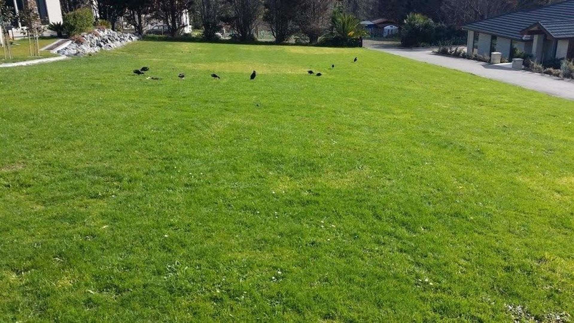 83 Sovereign Street Flat Bush_0