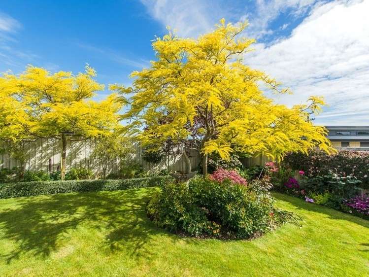 6 Lithgow Drive Otamatea_19