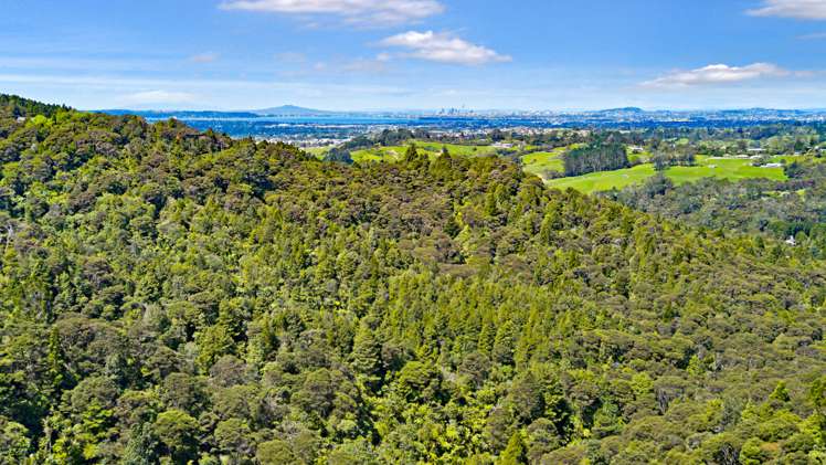 18 Kitewaho Road Swanson_42