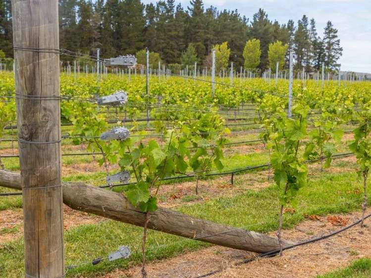 6 Anzac Street Waipara_23