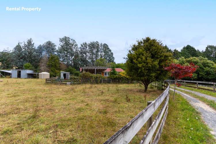 58 Colletts Road Mangaroa_46