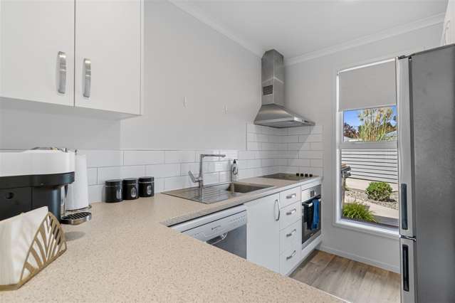 19 Seddon Road Hamilton_4