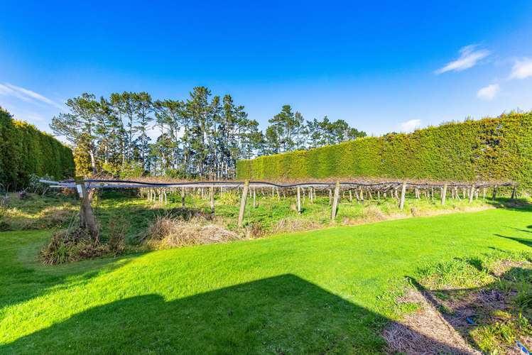 99 Alfriston-Ardmore Road Ardmore_18