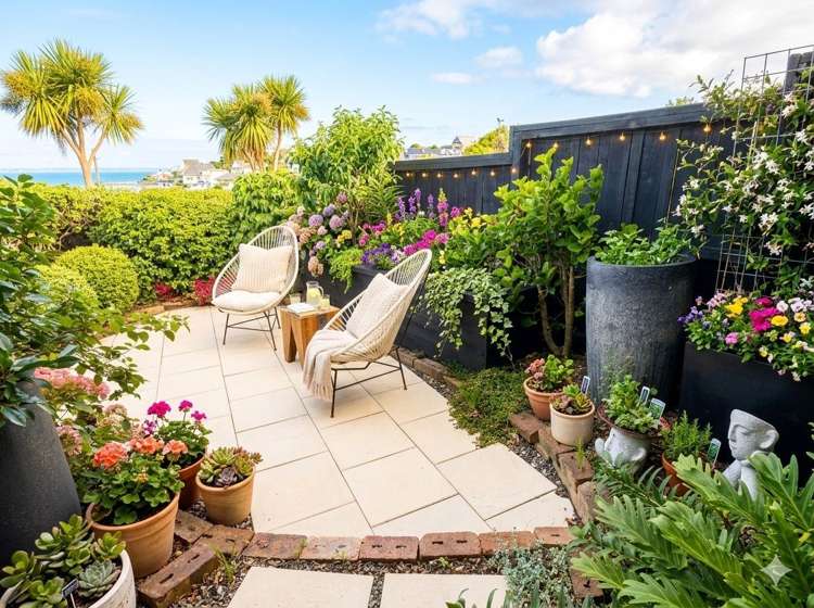 24 Surf Road Stanmore Bay_10