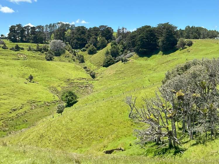 Lot 3 DP539905 Dill Road Kaipara Flats_8