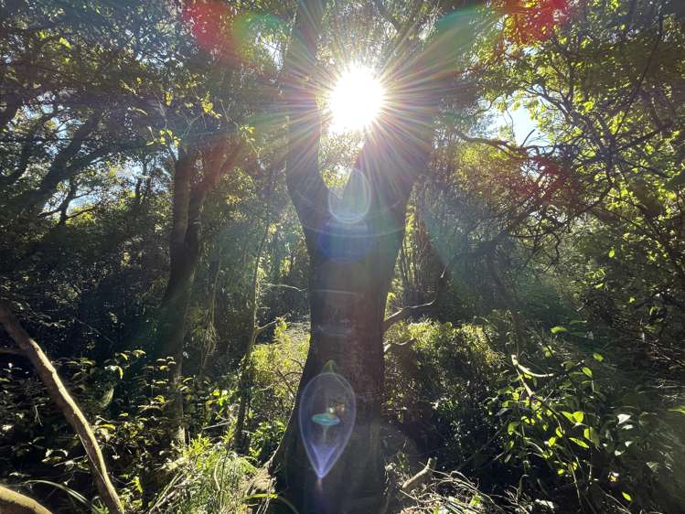 14 Tarata Street Kaka Point_2