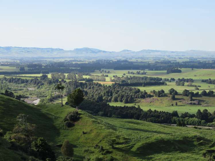 915 Blackburn Road Ongaonga_2