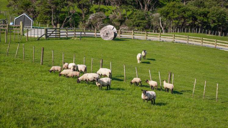 153 Waikoukou Valley Road Waimauku_25