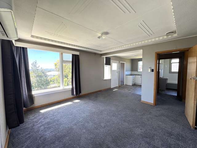 101 Wilson Road Balclutha_2