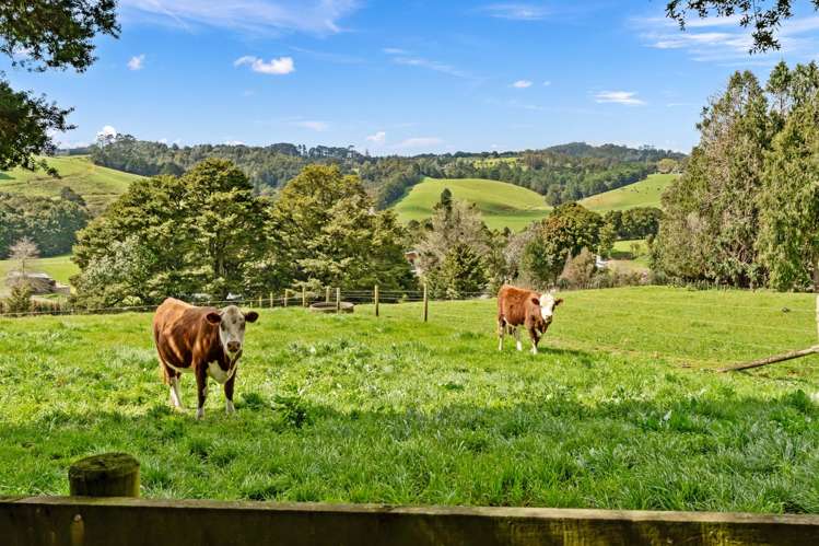 322 Kokopu Road Ruatangata_24