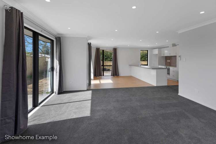 83a Winchester Street Levin_5