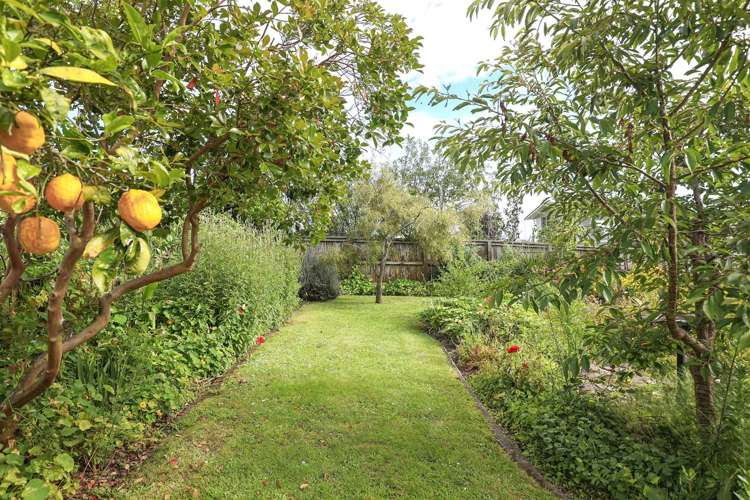 35 East Avenue Te Aroha_23