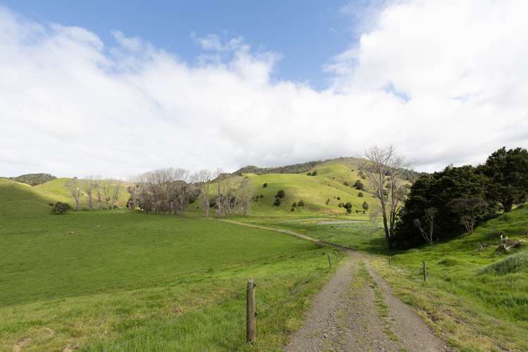 1557 Waihue Road Dargaville Surrounds_18