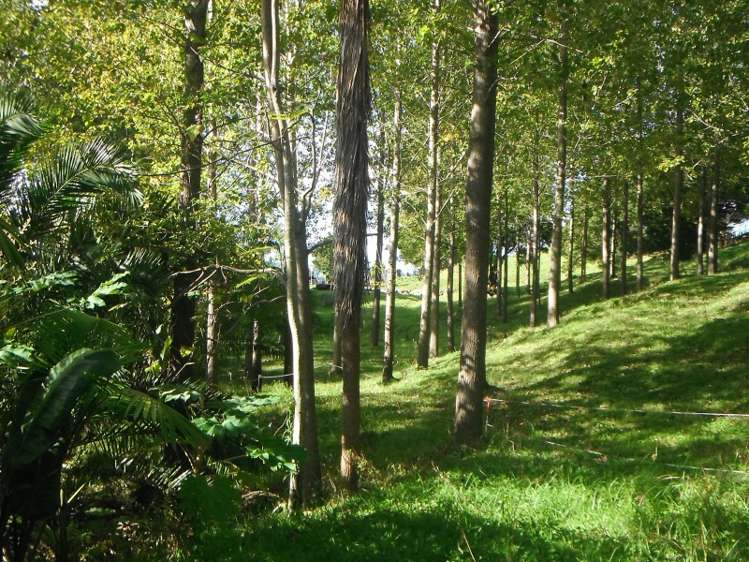 697 Tangihua Road Maungakaramea_14