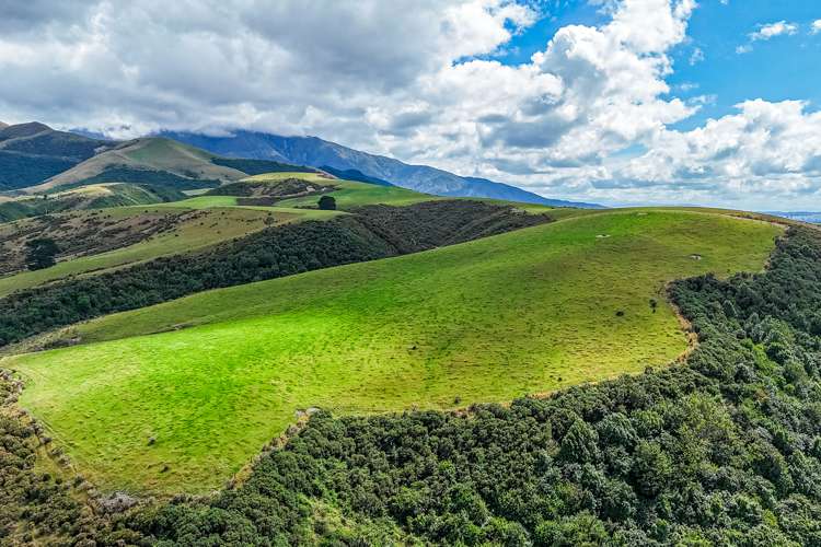 280 Sowerby Road Mesopotamia_1