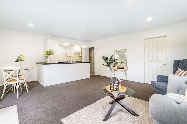 703A Hillsborough Road Mount Roskill_6