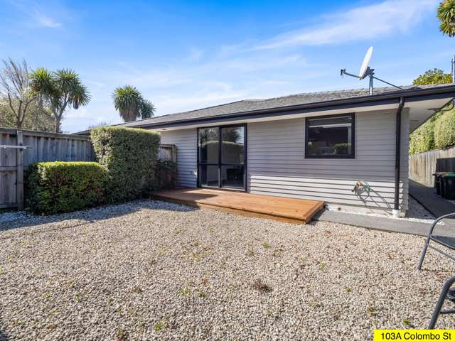 103 Colombo Street Somerfield_4