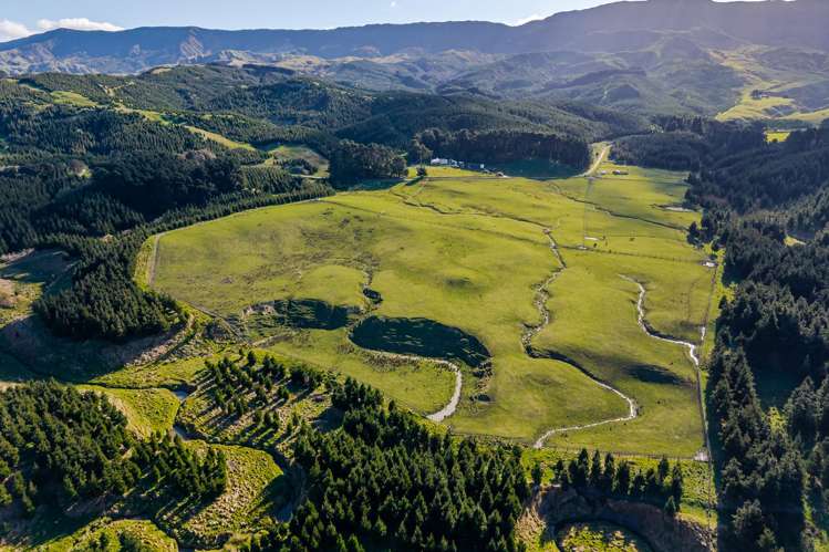 803 Range Road Pongaroa_19