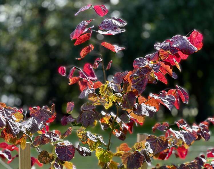 96 High Street Oxford_19