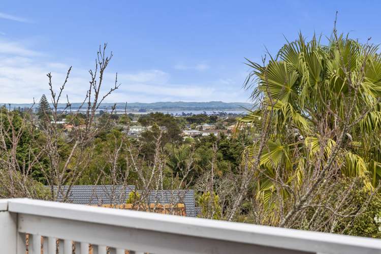 6 Corokia Place Totara Heights_6