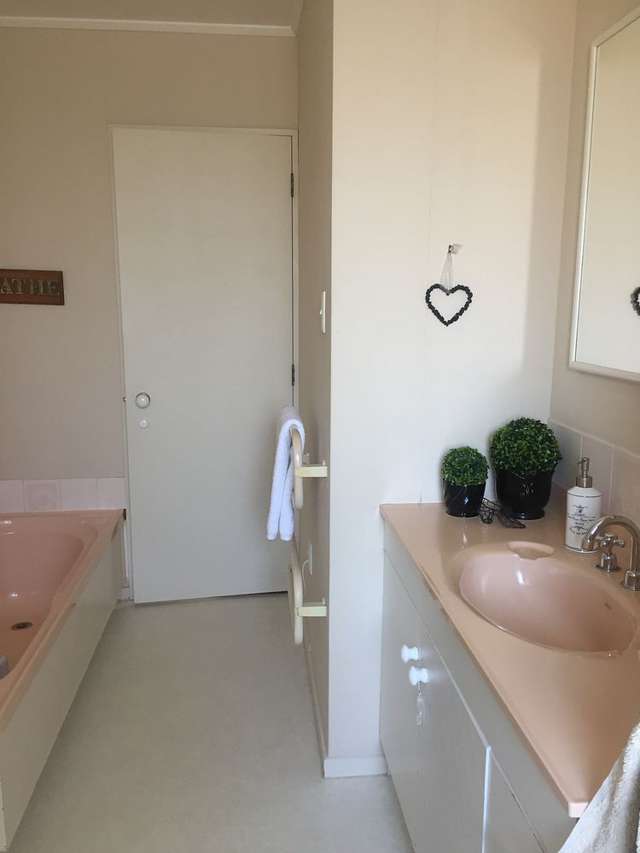 19A Ilford Place Awapuni_1