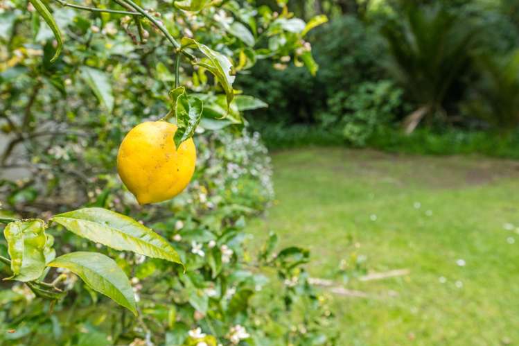 187 Victory Road Laingholm_18