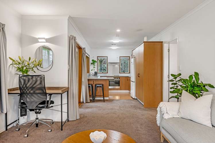 49 Haigh Access Road Redvale_30